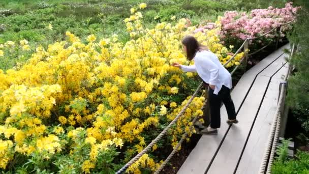 Egy Sétál Rhododendrons Parkban Egyik Legnépszerűbb Legszebb Hely Helsinkiben Finnországban — Stock videók