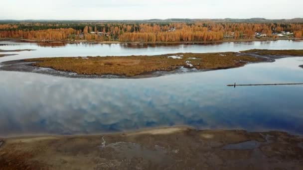 Widok Lotu Ptaka Rzekę Żółty Jesienny Las Jesienny Krajobraz — Wideo stockowe