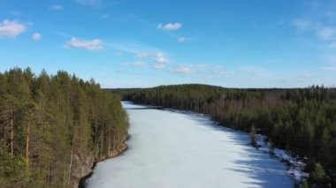 Finlandiya 'da buzla kaplı Kallio Gölü' nün havadan görünüşü. Kuzey Karelya doğası.