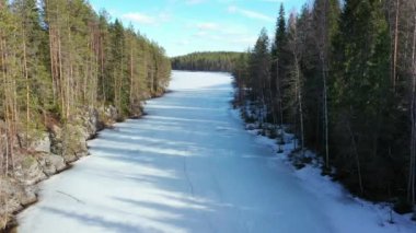 Finlandiya 'da buzla kaplı Kallio Gölü' nün havadan görünüşü. Kuzey Karelya doğası.