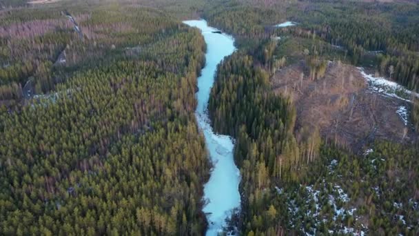 Finlandiya Buzla Kaplı Kallio Gölü Nün Havadan Görünüşü Kuzey Karelya — Stok video