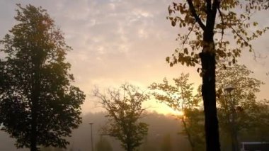 Finlandiya 'da sonbaharda bir şehir caddesinde sisli bir sabah. Sarı ağaçların arasından gün doğumuna bak..