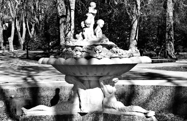 Beautiful Fountain Sea Garden Varna Sea Capital Bulgaria — Stock Photo, Image