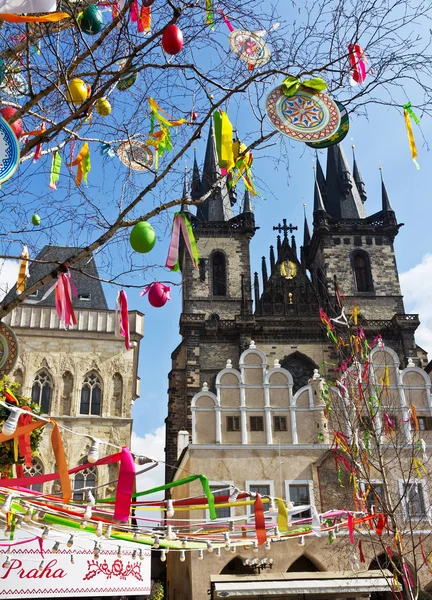 Påsketræ Den Gamle Rådhusplads Prag Tjekkiet Praga - Stock-foto