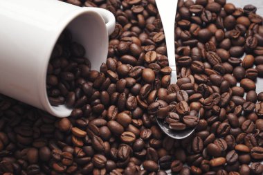 kahve çekirdekleri beyaz bir bardaktan dökülür. fasulye yanındaki bir kaşık olduğunu