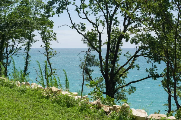 Yalı öğlen horizon ile. çalılıkları ağaçların ön planda