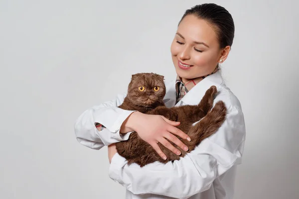 Портрет Молодой Девушки Ветеринара Рабочей Одежде Смешной Кошкой Руках Светлом — стоковое фото