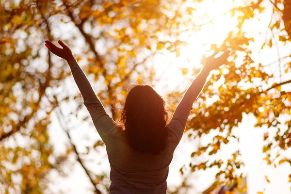 Park'taki Altın sonbahar yapraklarının arasında arka genç ince kadınların silueti. Mevsim sonbahar kavramı