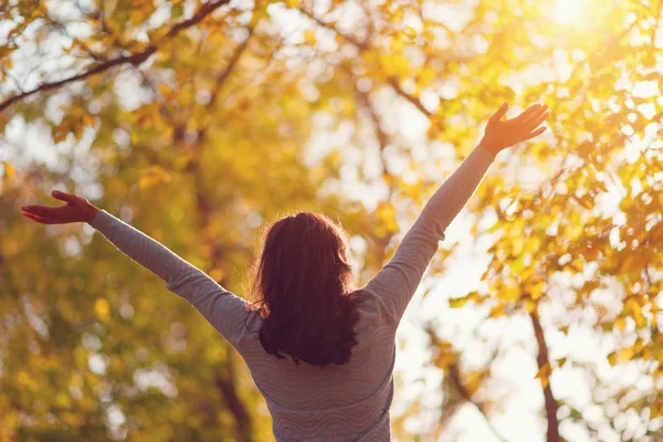 Park'taki Altın sonbahar yapraklarının arasında arka genç ince kadınların silueti. Sonbahar kavramı