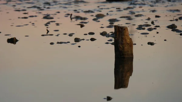 Säule Und Steine Wasser Der Kuyalnik Mündung — Stockfoto