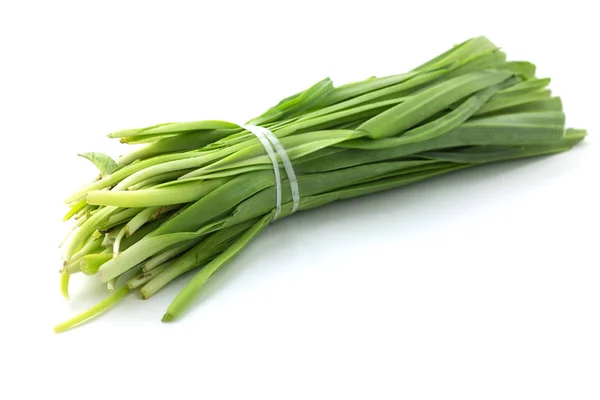 Leek White Background — Stock Photo, Image