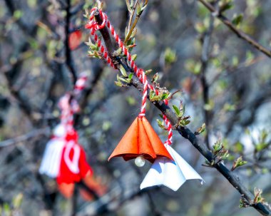 MARTISOR) Odası (