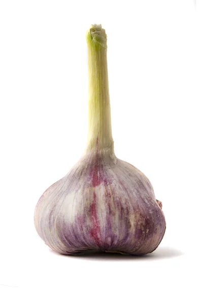 Garlic bulb — Stock Photo, Image