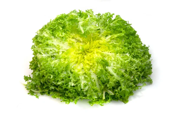 Endive Cichorium Endivia Var Crispum Vit Bakgrund — Stockfoto