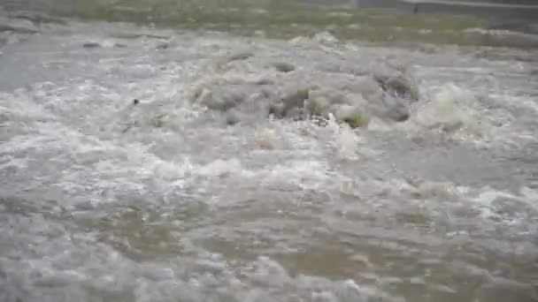 El agua brota del desagüe de la tormenta. Una corriente de agua sucia inunda la calzada. Los coches conducen en el agua. Emergencia . — Vídeos de Stock