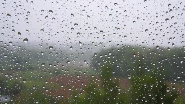 Gotas de lluvia gotean por el vidrio. Fondo, textura. Clima lluvioso. El concepto de renovación y purificación . — Vídeo de stock