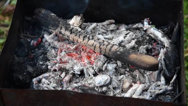 Carbón que arde en la parrilla. Un fuego moribundo. Fuego vivo. — Vídeo de stock