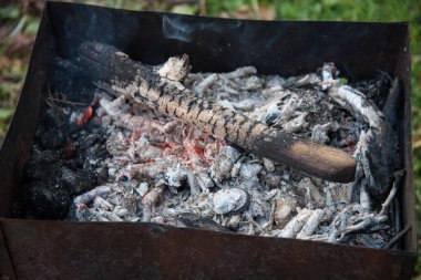 Izgarada yanan kömürler. Ölmekte olan bir ateş. Canlı ateş
