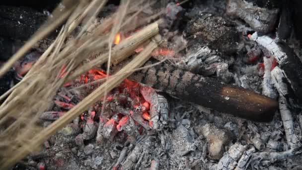 Embers dans le feu. Des branches sèches et minces ont été ajoutées au feu. — Video