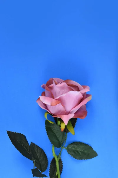 Web sitesi açılış mavi arka plan üzerinde yapay gül