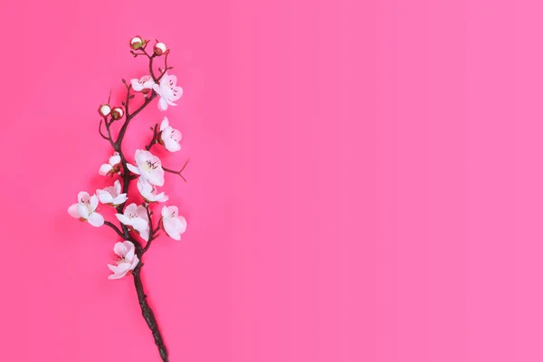 Yapay pembe arka plan Web sitesi açılış gül