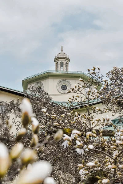 Brooklyn, New York / Amerika Birleşik Devletleri - 1 Nisan 2018: Brooklyn Botanik Bahçe çiçekleri merkezi köşk