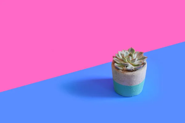 Web sitesi sosyal medya açılış parlak arka plan üzerinde sulu