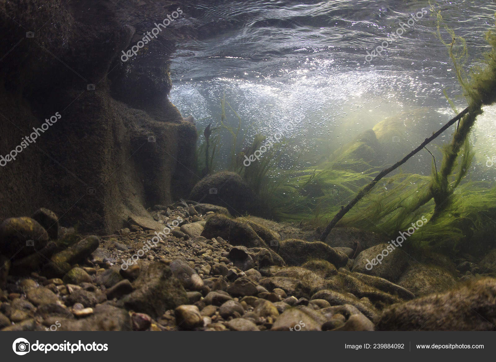 Definition Of River Bed Wholesale Outlet, Save 42 jlcatj.gob.mx