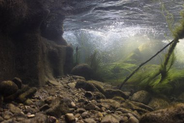 Sualtı kayalar nehir yatağı ile tatlı su temizleyin. Nehir habitat. Sualtı manzara. Dağ nehir. Litle akarsu çakıl ile. Sualtı sahne, yosun, dağ nehir temizlik.