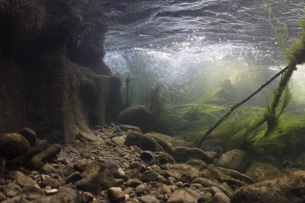 Sualtı kayalar nehir yatağı ile tatlı su temizleyin. Nehir habitat. Sualtı manzara. Dağ nehir. Litle akarsu çakıl ile. Sualtı sahne, yosun, dağ nehir temizlik.