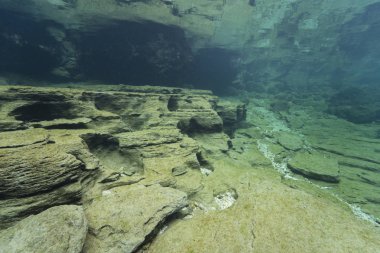 Temiz tatlı suyla nehir yatağındaki kayalar. Su altı manzarası. Traun nehri. Tatlı su dünyası. Güzel nehir yaşam alanı. Soğuk su.