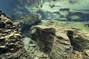 Temiz tatlı suyla nehir yatağındaki kayalar. Su altı manzarası. Traun nehri. Tatlı su dünyası. Güzel nehir yaşam alanı. Soğuk su.
