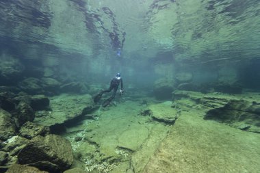 Temiz tatlı suyla nehir yatağındaki kayalar. Su altı manzarası. Traun nehri. Tatlı su dünyası. Güzel nehir yaşam alanı. Soğuk su.