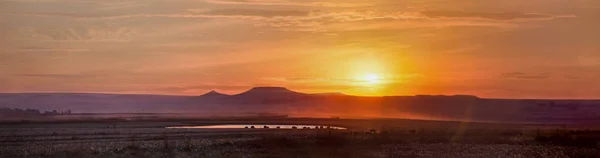 bir göl ve Dourban Güney Afrika günbatımı, vahşi batı sahne, inek ile Panorama.