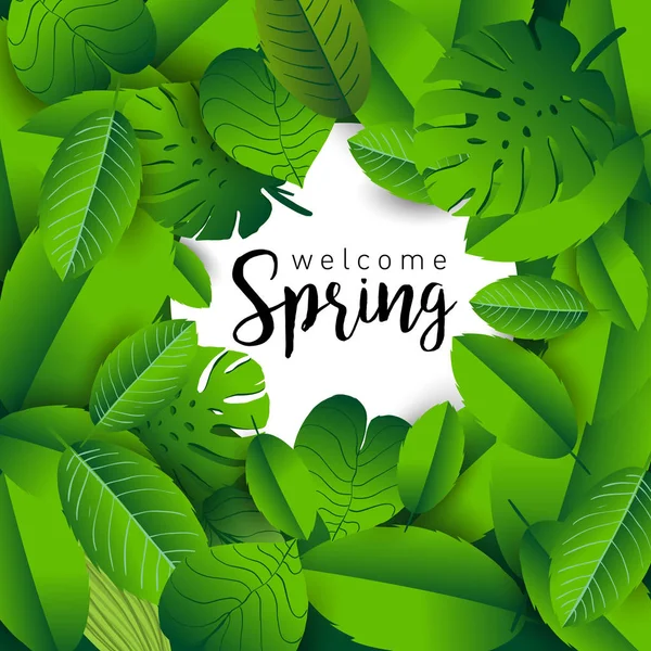 Willkommen Frühling Trendiges Banner Mit Blättern Tropischer Pflanzen Und Handgezeichneten — Stockvektor