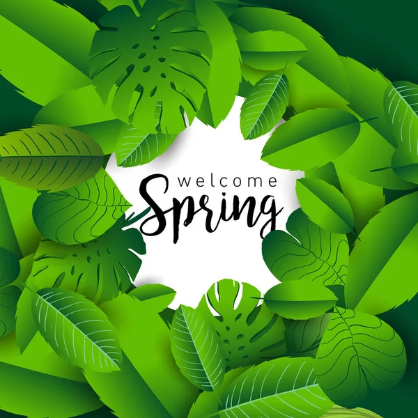 Bem Vinda Primavera Banner Moda Com Folhas Plantas Tropicais Letras — Vetor de Stock