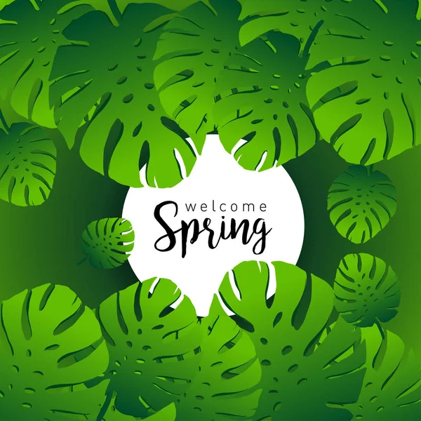 Willkommen Frühling Trendiges Banner Mit Blättern Tropischer Pflanzen Und Handgezeichneten — Stockvektor