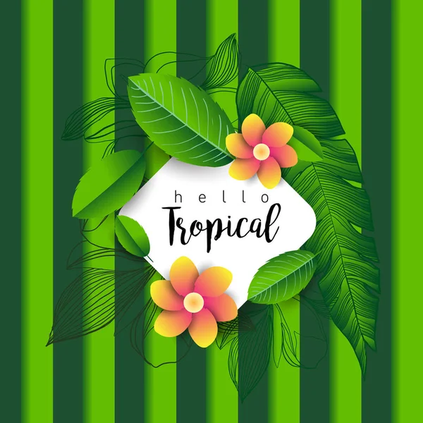 Hola Tropical Banner Moda Con Hojas Plantas Exóticas Flores Letras — Vector de stock