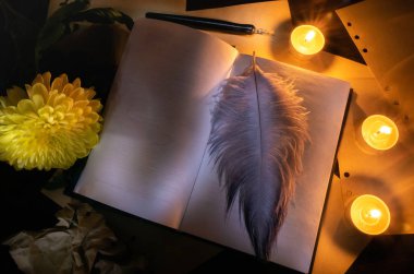 Natürmort sıcak renkler: masaya yaprak kağıt, mumlar, kuru yapraklar ve çiçekler, kalem, yazıt - PS yardım.