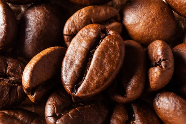 Coffee Beans Macro Photo Concept Growing Making Coffee Top View — Stock Photo, Image