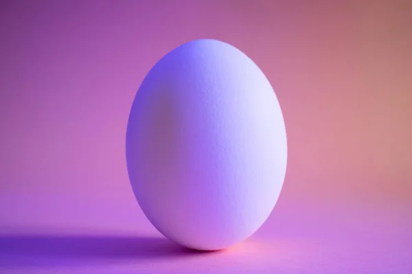 ネオントレンドカラーのクローズアップ卵 タンパク質 スタイリッシュなシンプルな食事 ミニマリズム テキストのための場所 デザイン — ストック写真