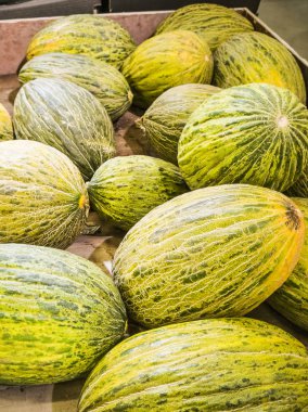 Marketteki sandıkta taze kavunlar. Sonbahar hasadı, organik gıda, meyve satışları. Pek çok meyva arasında,.