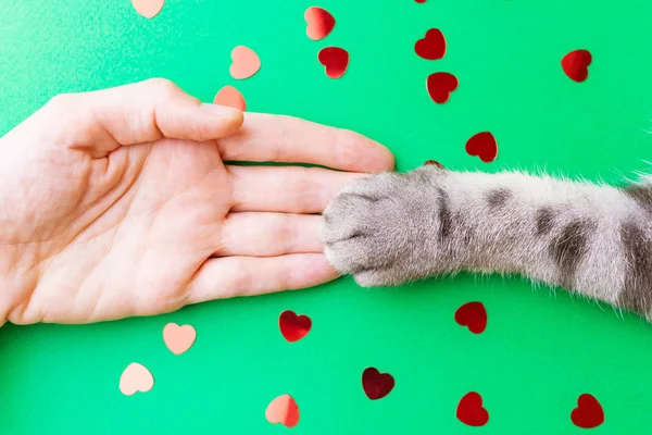 Gray Striped Cat Paw Female Hand Green Background Red Confetti — Stock Photo, Image