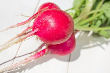 Bahçeden taze taze taze turp, ahşap beyaz arka plan. Yakın plan. Organik sebze konsepti, sebze yetiştirme, sağlıklı vitamin gıdası..