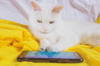 Beyaz kedi akıllı telefonda oynar, sarı bir ekose üzerinde yatar. Hayvan ve bilgi teknolojisi.