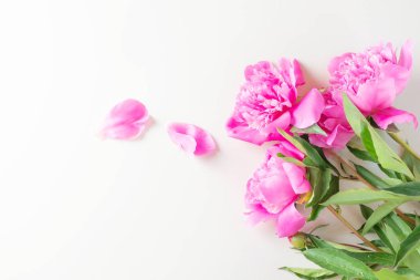 Açık arkaplanda parlak pembe şakayıklar var. Kopyalama alanı, üst görünüm. Tatil, doğum günü, Sevgililer Günü, hediye, aşk ilanı..