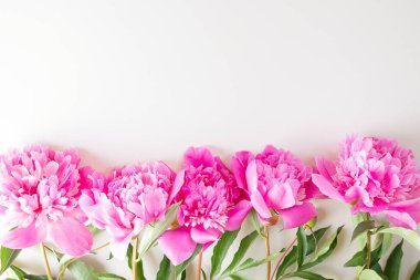 Açık arkaplanda parlak pembe şakayıklar var. Kopyalama alanı, üst görünüm. Tatil, doğum günü, Sevgililer Günü, hediye, aşk ilanı..