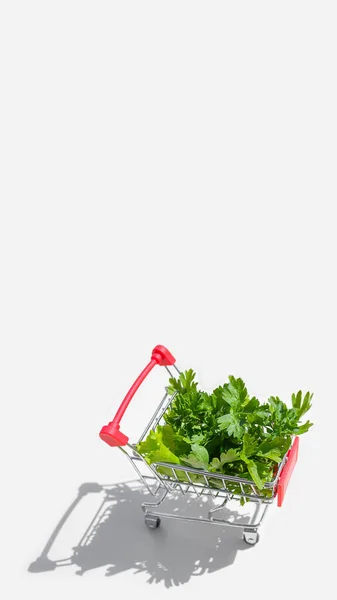Miniature Supermarket Trolley Fresh Herbs Light Background Concept Fresh Food — Stock Photo, Image