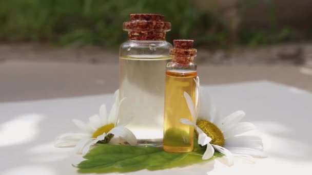 Ефірна Квіткова Олія Маленьких Скляних Пляшках Свіжих Квітках Ромашки Навколо — стокове відео