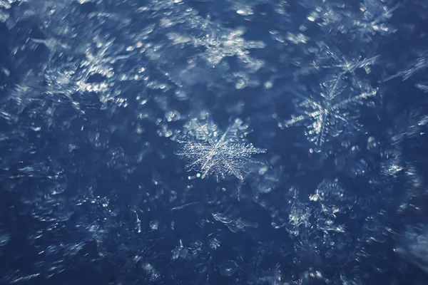 Hótakaró Nagy Hópelyhekkel Fényes Nappal Tél Fogalma Hideg Természet Szépsége — Stock Fotó